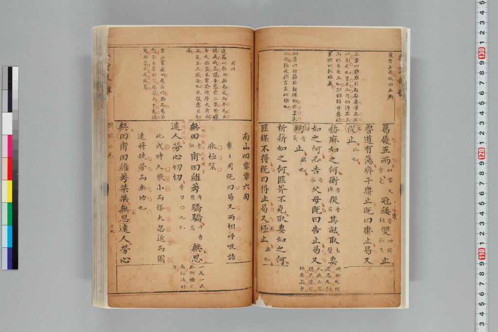 標準画像へ