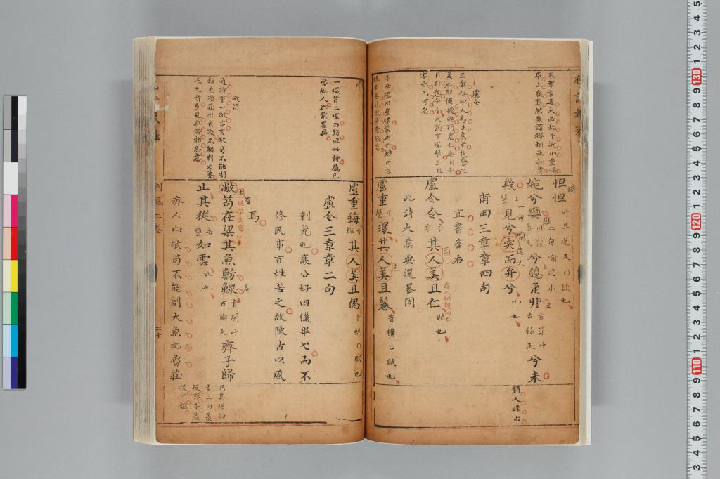 標準画像へ