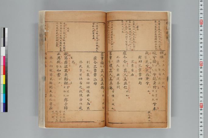 拡大画像へ