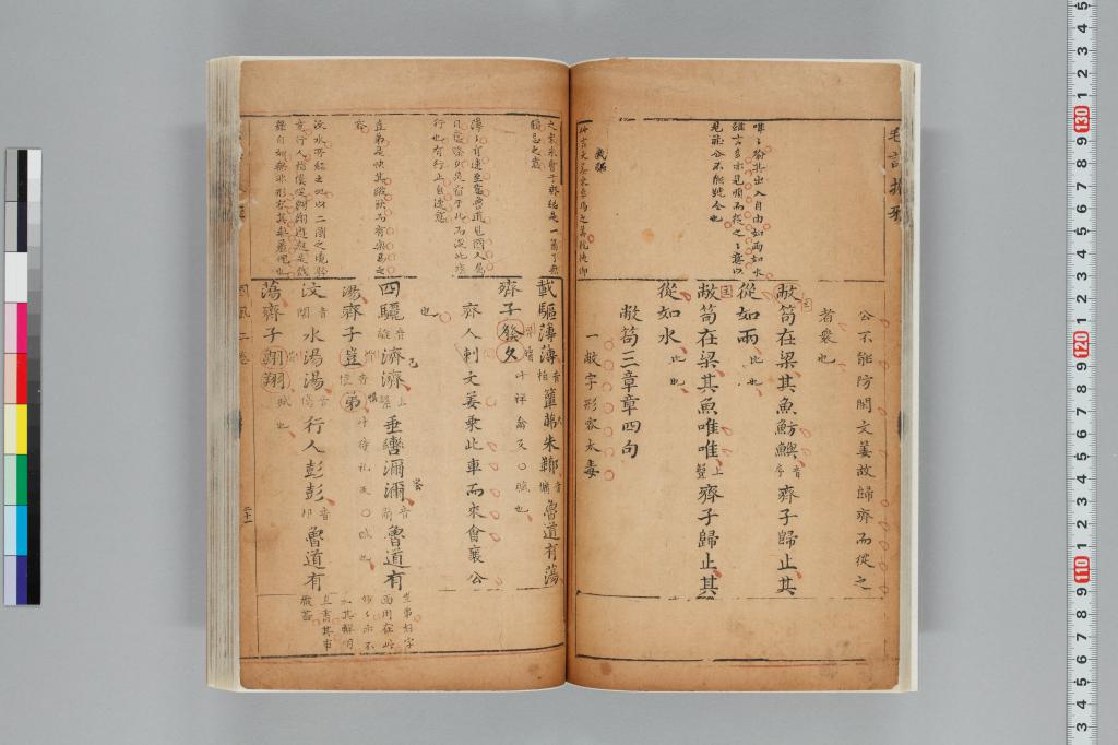 標準画像へ