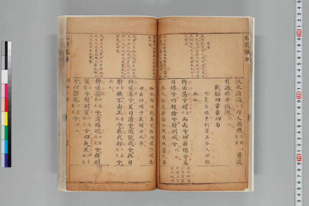 標準画像へ