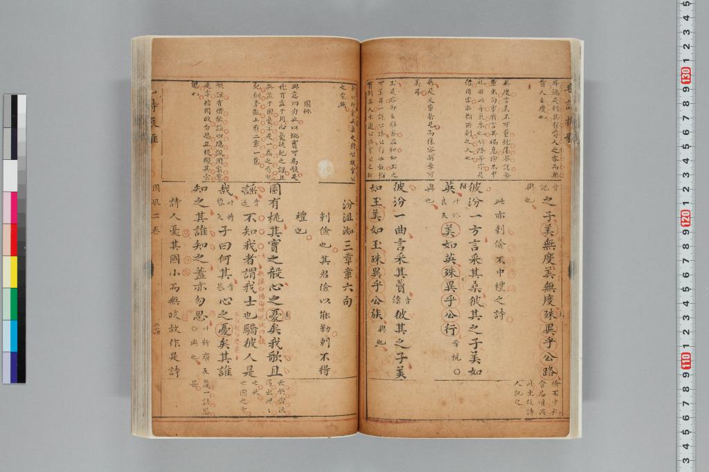 標準画像へ