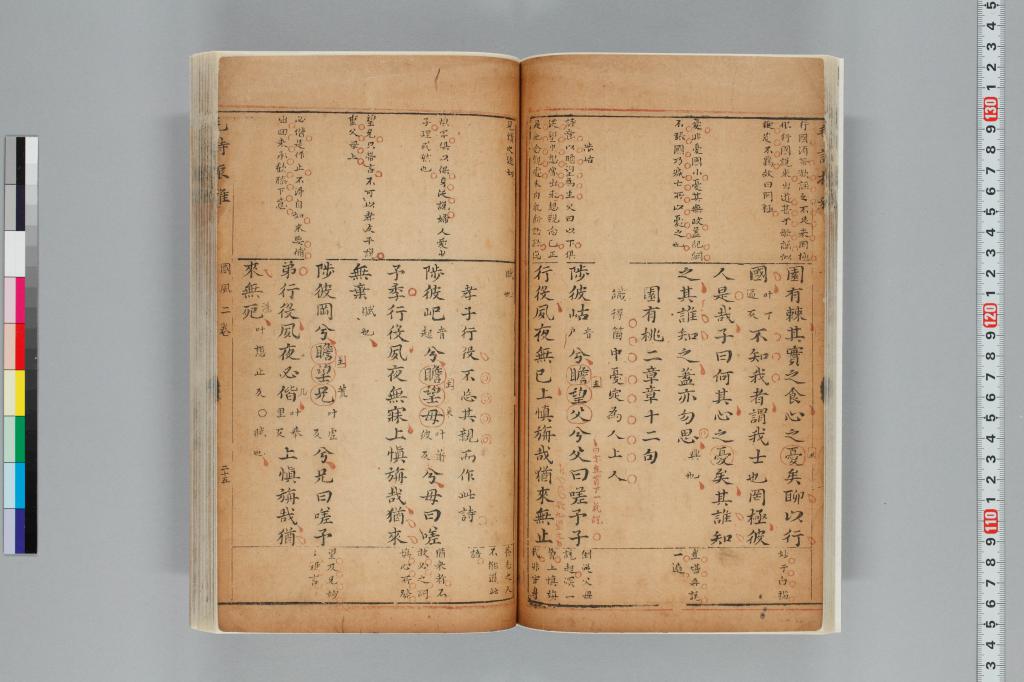 標準画像へ