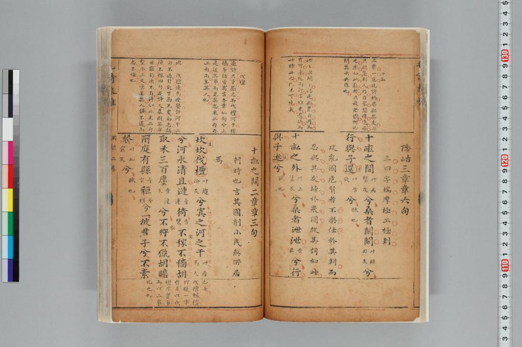 標準画像へ