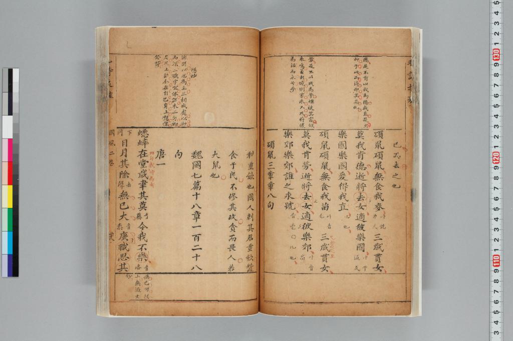 標準画像へ