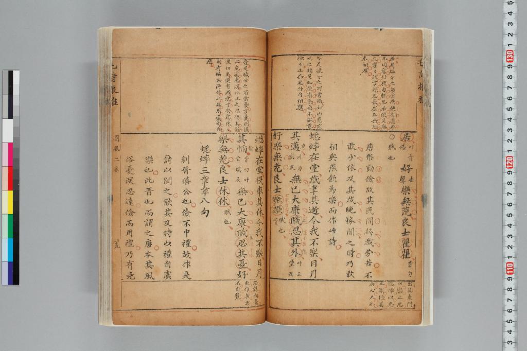 標準画像へ