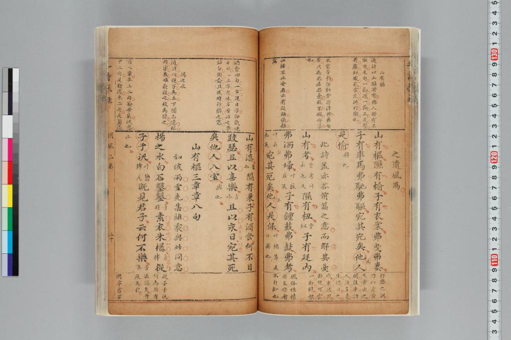 標準画像へ
