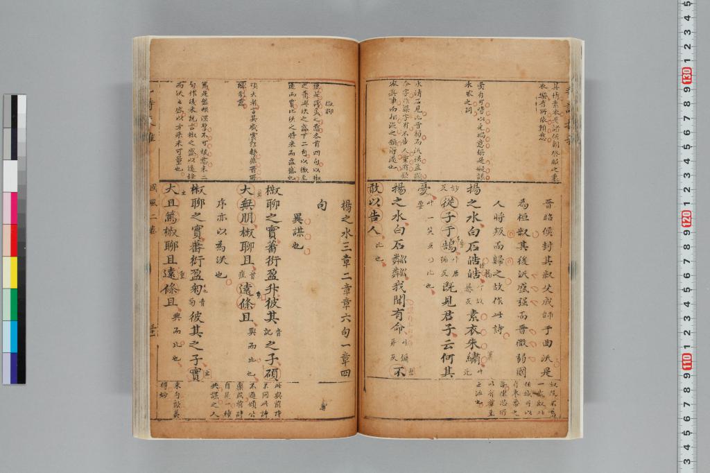 標準画像へ