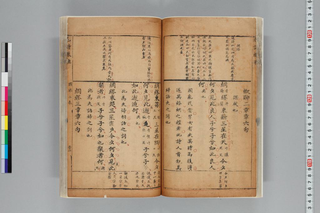 標準画像へ