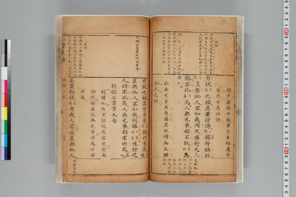 標準画像へ