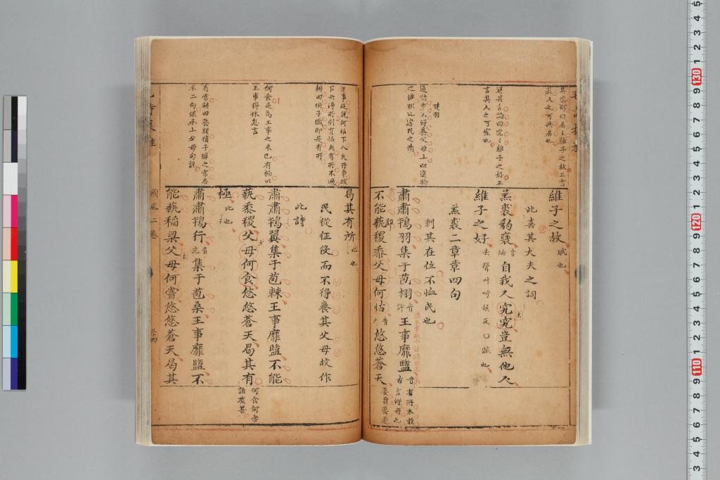標準画像へ