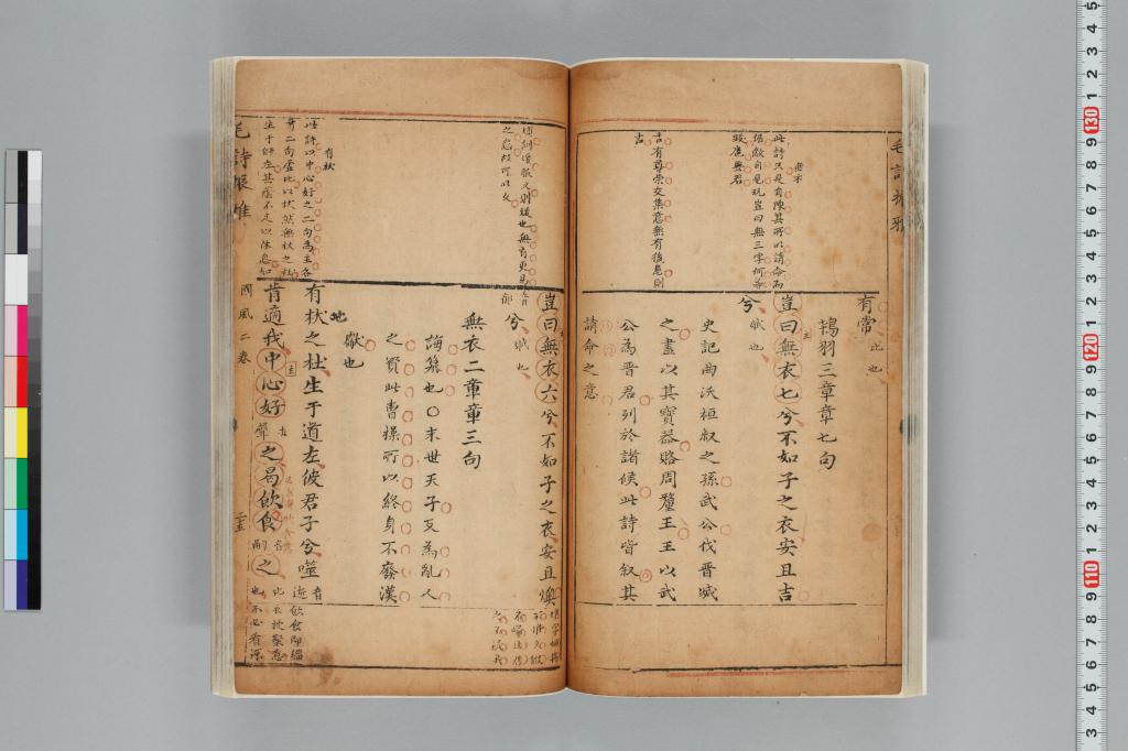 標準画像へ