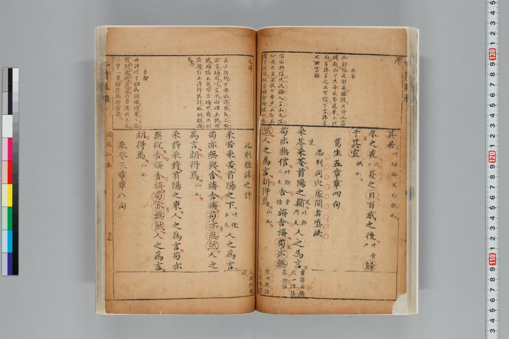 標準画像へ