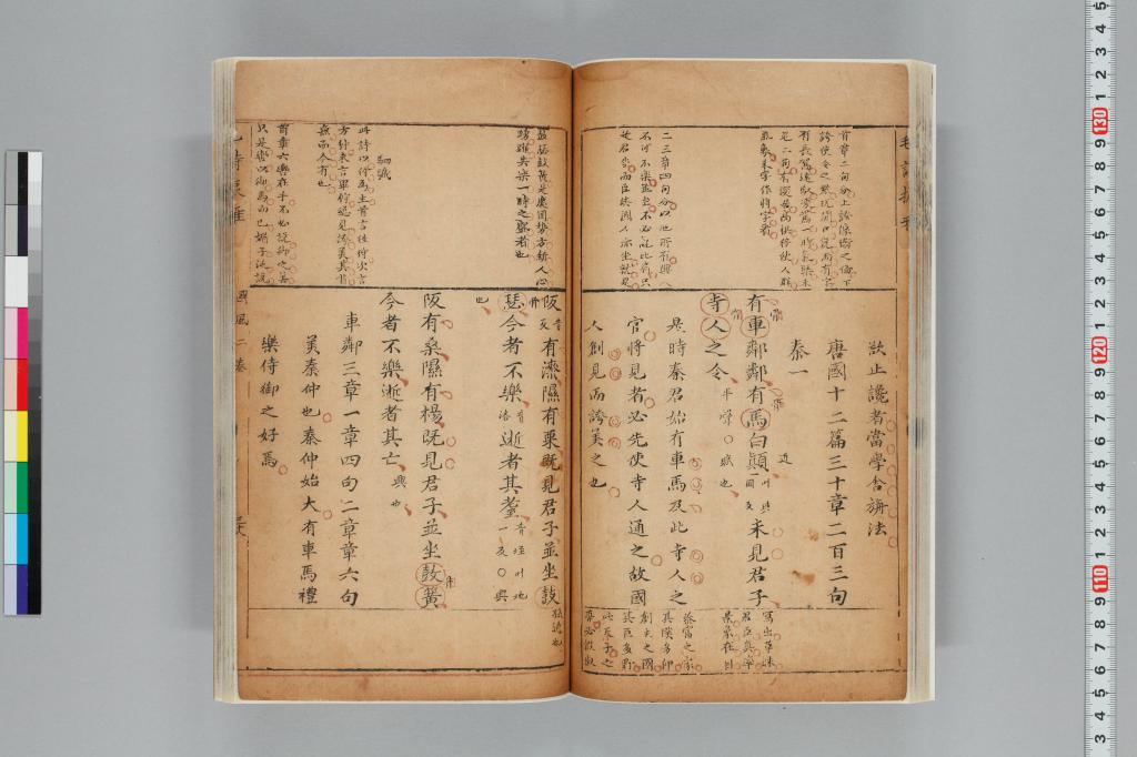 標準画像へ