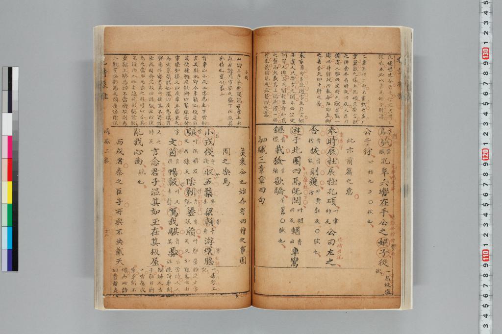 標準画像へ