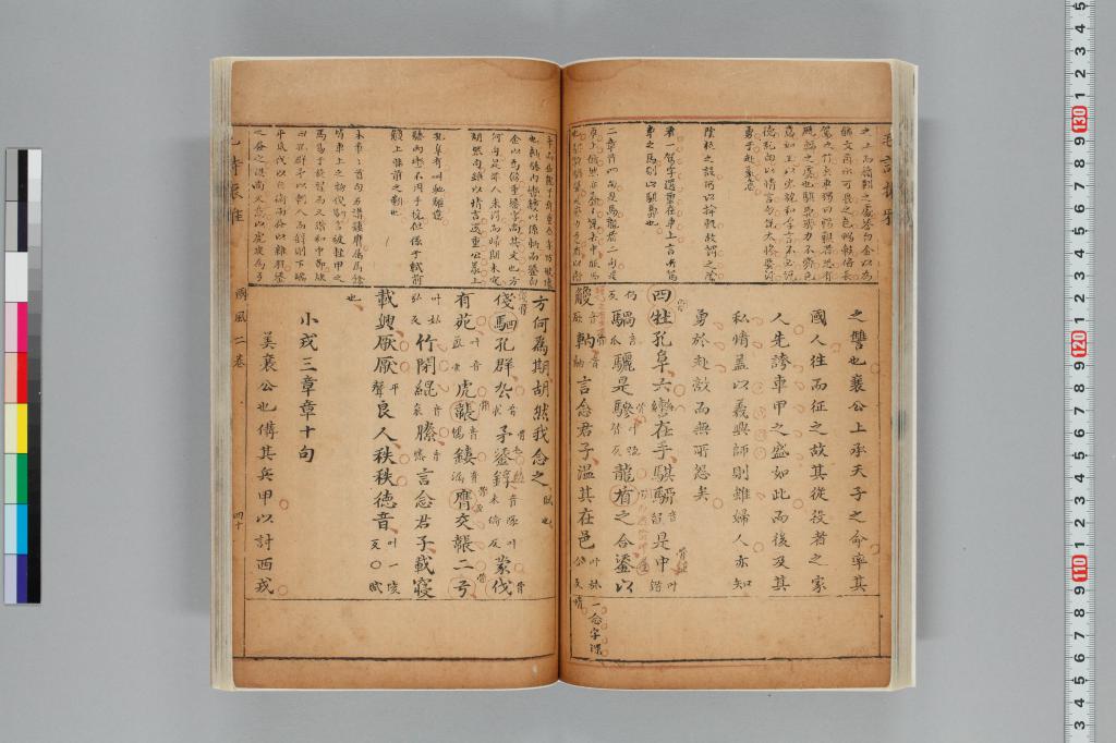 標準画像へ