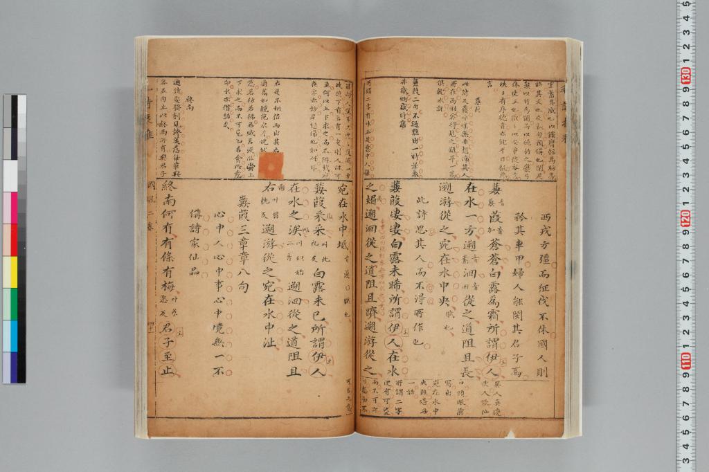 標準画像へ