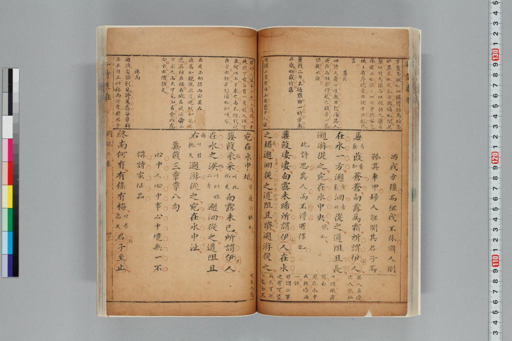 標準画像へ
