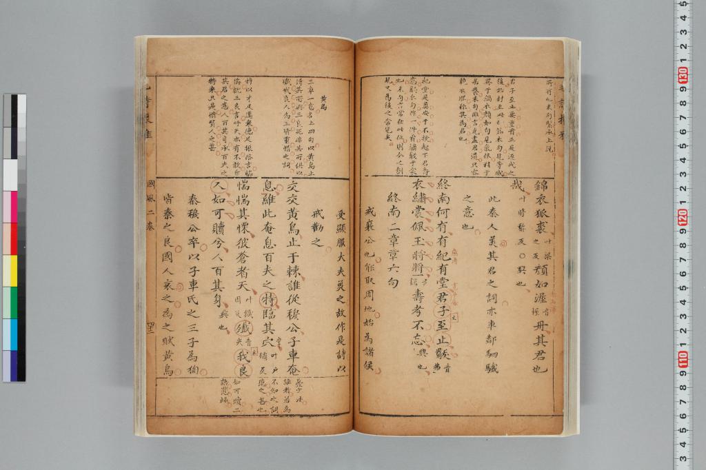 標準画像へ