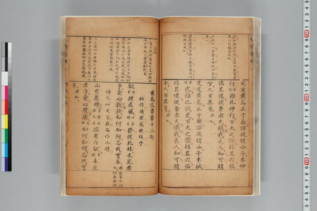 標準画像へ