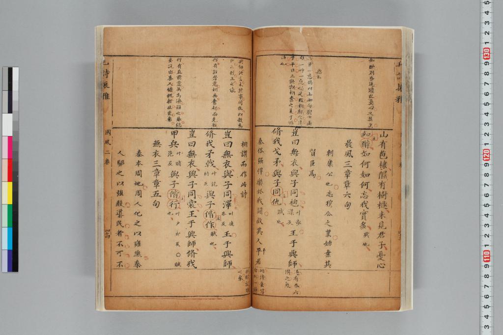 標準画像へ