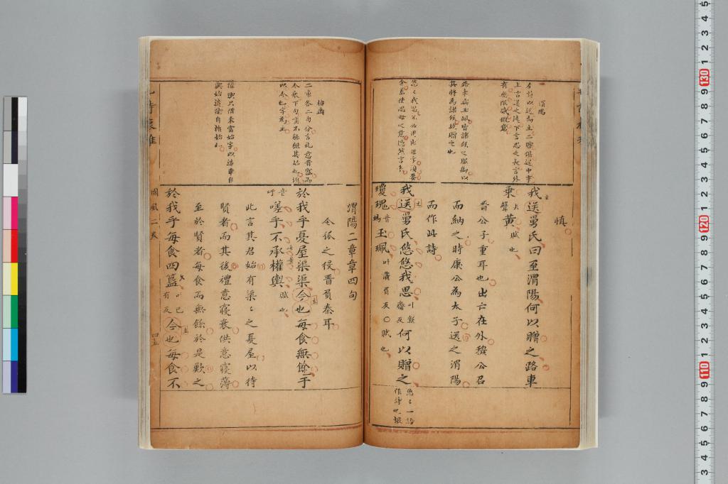 標準画像へ