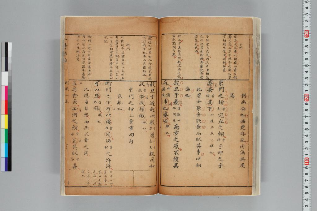 標準画像へ