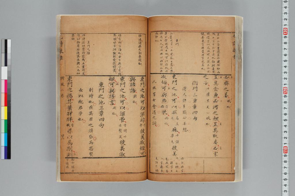 標準画像へ