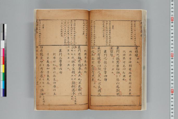 拡大画像へ