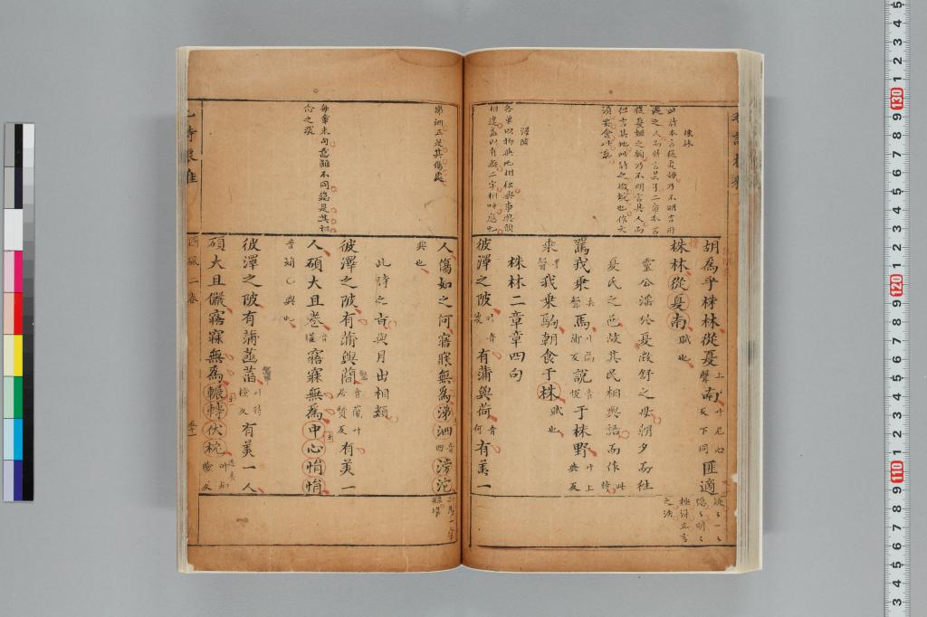 標準画像へ