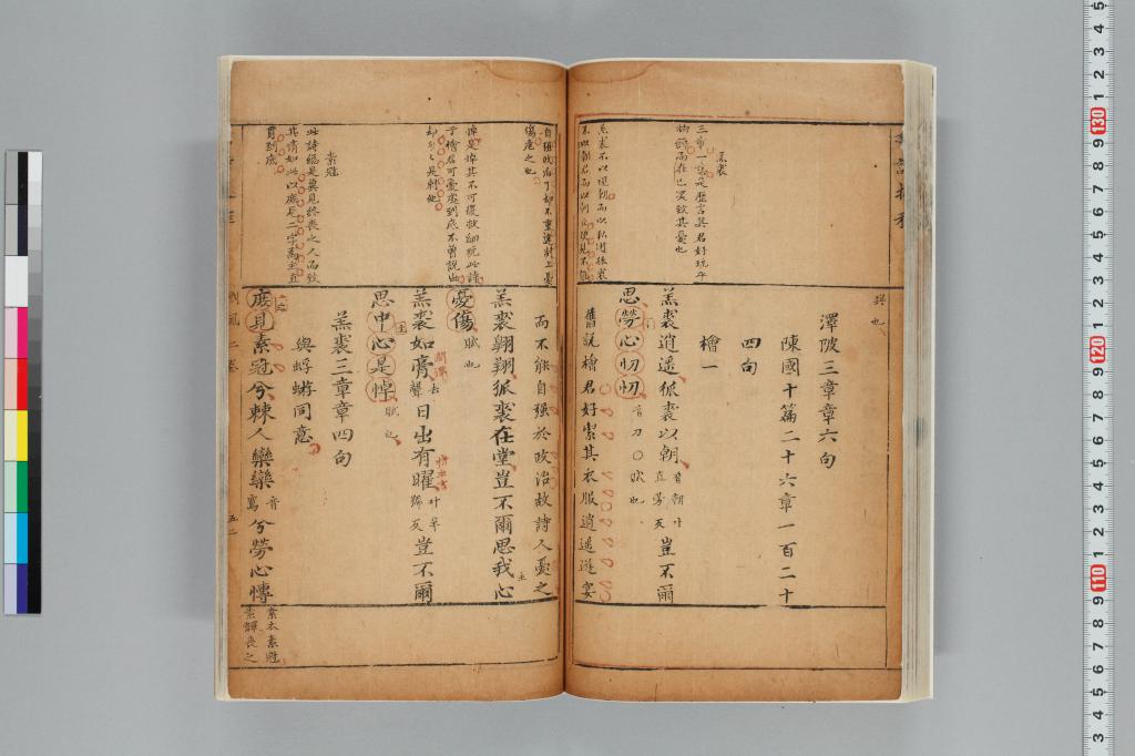 標準画像へ