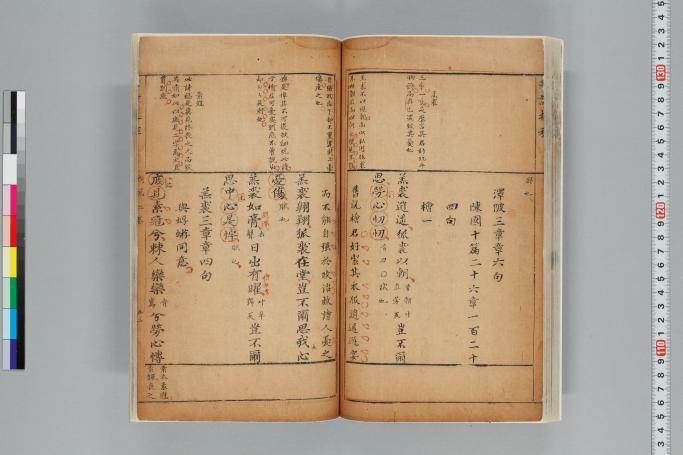 拡大画像へ