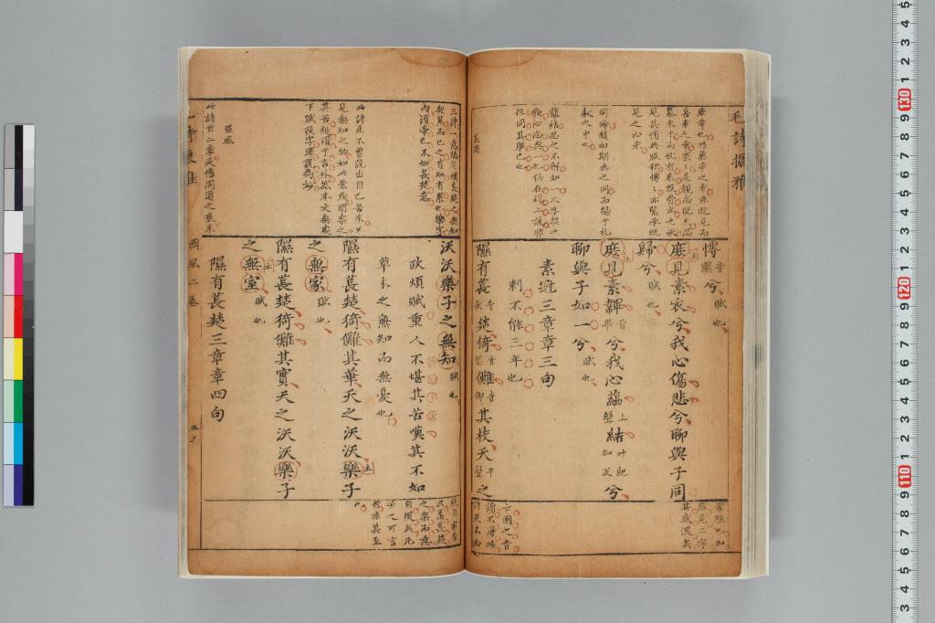 標準画像へ