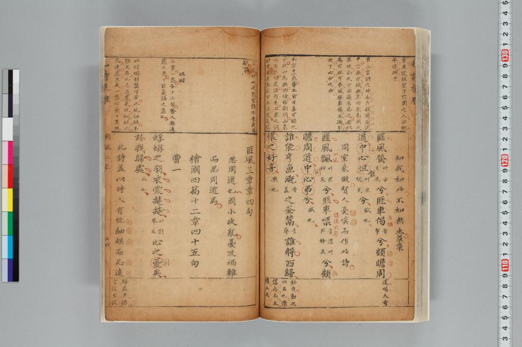 標準画像へ