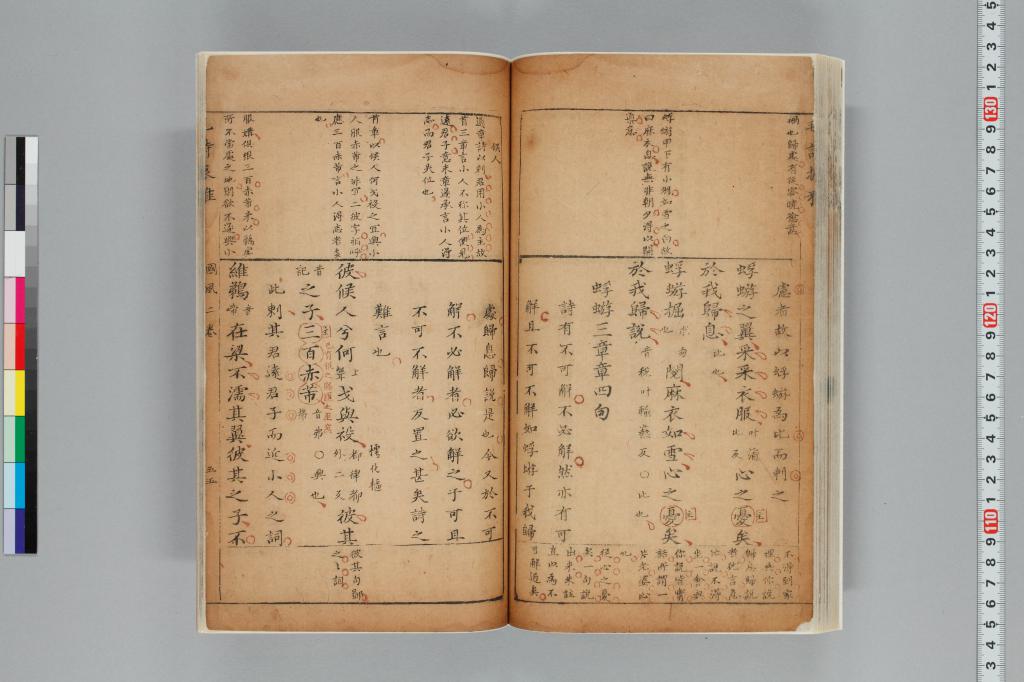 標準画像へ