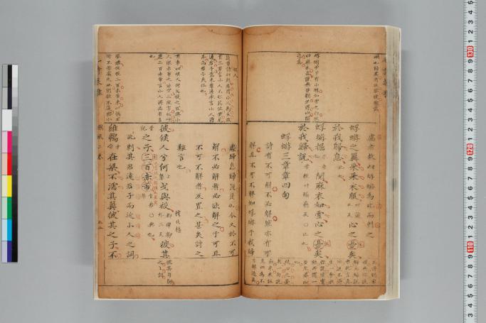 拡大画像へ