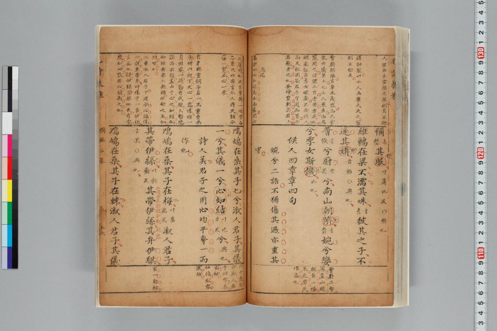 標準画像へ