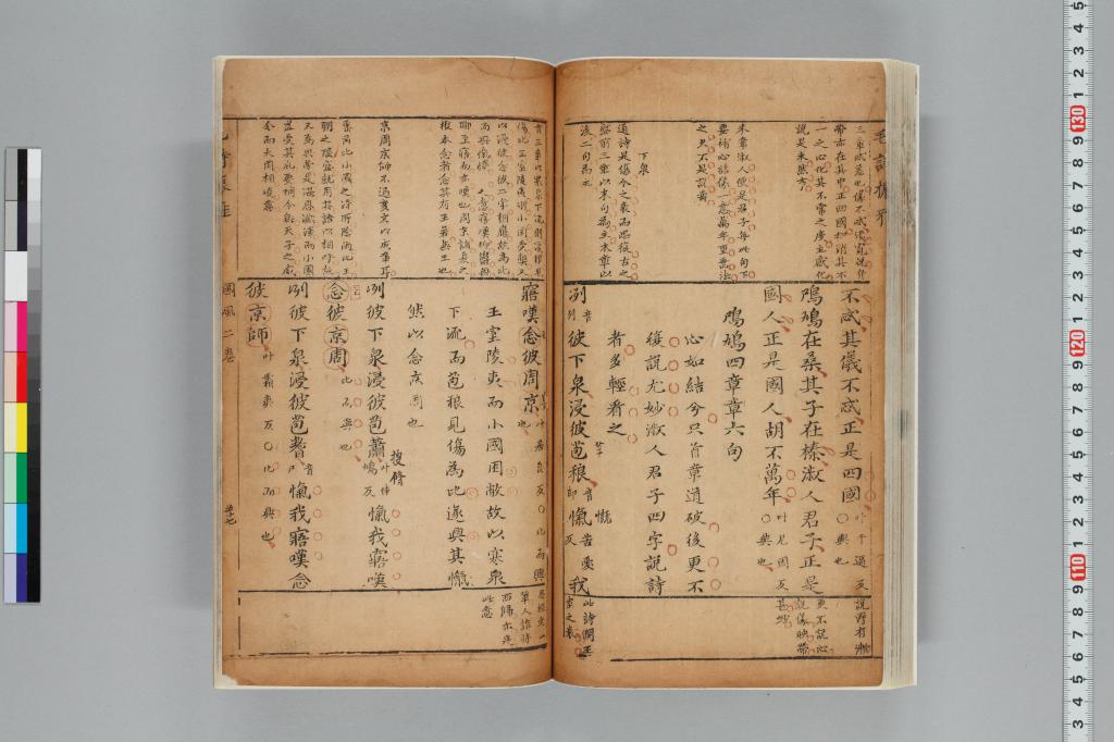 標準画像へ