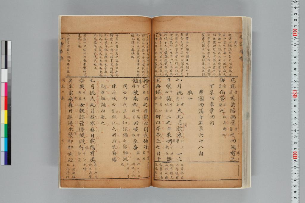 標準画像へ