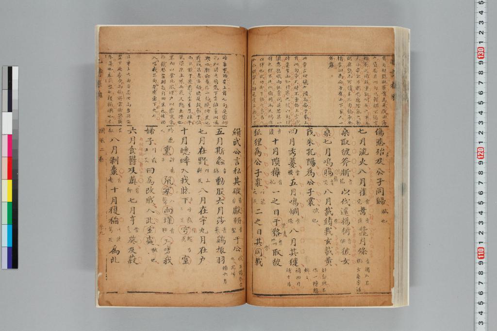 標準画像へ