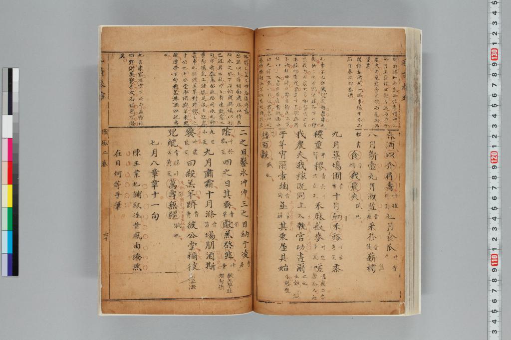 標準画像へ
