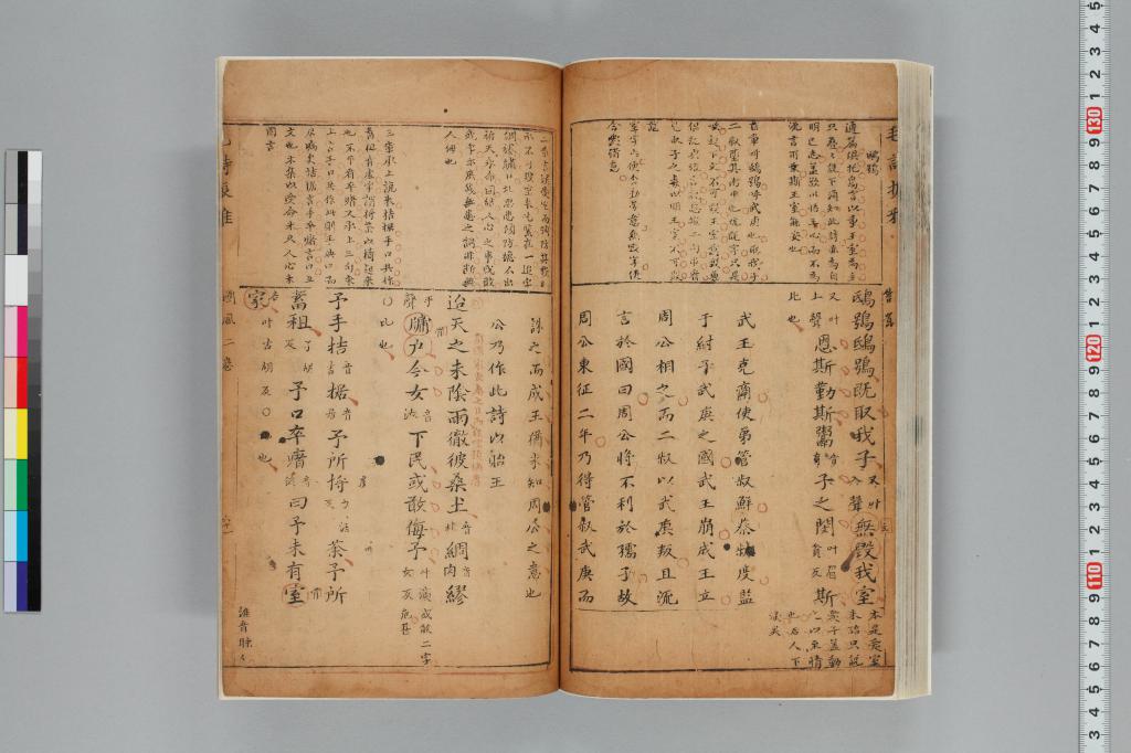 標準画像へ