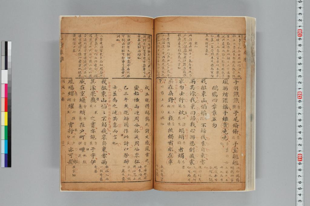標準画像へ