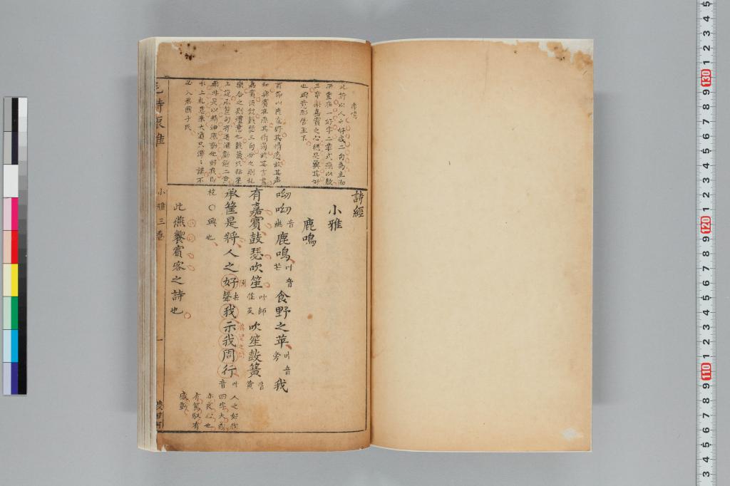 標準画像へ