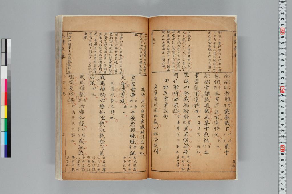 標準画像へ