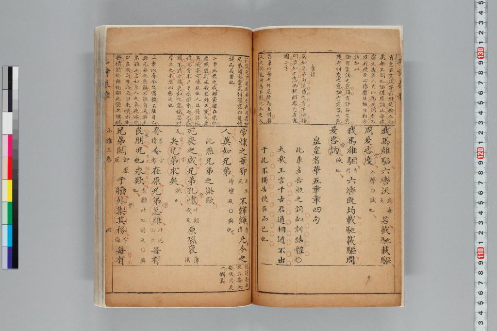 標準画像へ