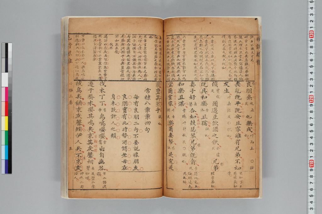 標準画像へ