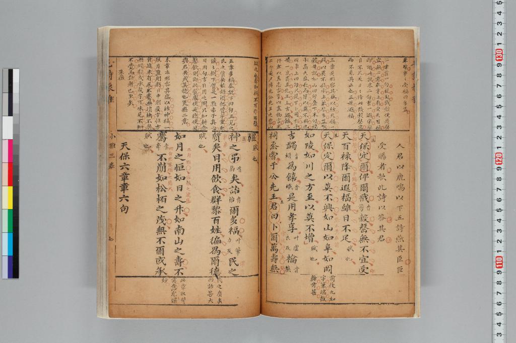 標準画像へ
