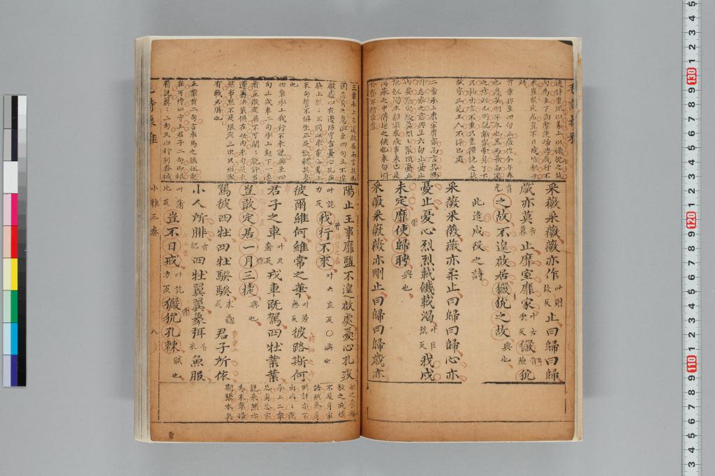 標準画像へ