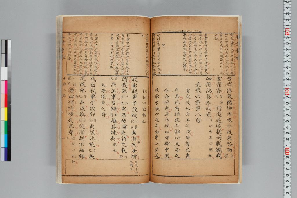 標準画像へ